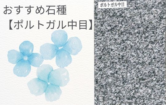 【おすすめ石種】ポルトガル中目　～はやしばら原石プロジェクト～