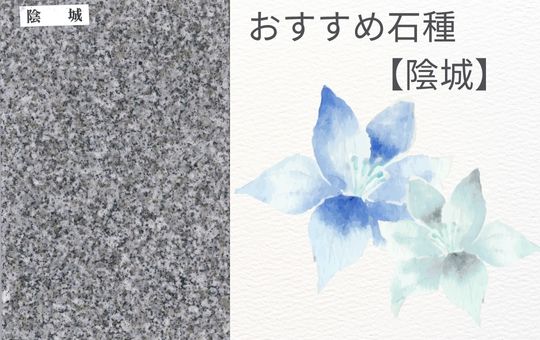 【おすすめ石種】陰城(韓国産) ~はやしばら原石プロジェクト~